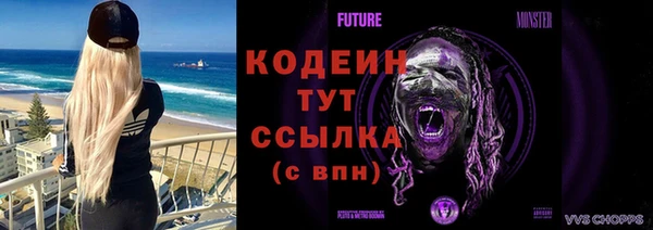 гашик Нея